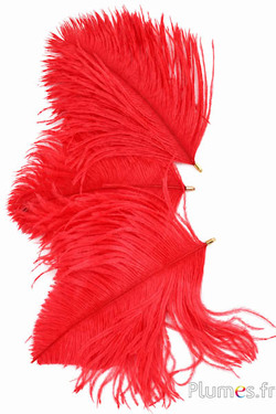 Ciondolo testa di struzzo - 17-20 cm - rosso